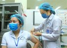 Thêm 630 người tiêm vắc xin phòng COVID-19, có 4 trường hợp phản vệ được xử lý kịp thời
