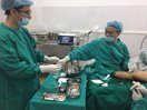 Những dấu hiệu cảnh báo bạn có thể bị suy tĩnh mạch chi