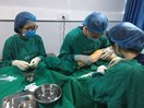 Triển khai thành công kĩ thuật laser nội mạch – bệnh nhân suy giãn tĩnh mạch chi dưới thêm một lựa chọn điều trị